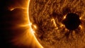 The Sun As Seen By Nasa'S Solar Observatory