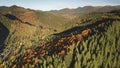 Sun autumn mountain trees at ranges. Aerial nobody nature landscape. Road at mount valley village