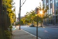 Sun beaming through trees downtown Atlanta on empty streets