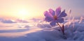 the sun beams down on snow and a purple flower,