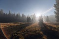 With sun beams passing through the fog at mountain forest Royalty Free Stock Photo