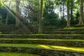 Sun beams shine through the trees at Scott Outdoor Amphitheater in Crum Woods at Swarthmore College, Pennsylvania, USA