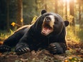 Ai Generated illustration Wildlife Concept of Sun bear