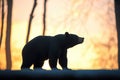 sun bear silhouette against forest dawn light Royalty Free Stock Photo