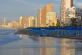 Sun beds and beach umbrellas for hire in the Mediterranean resort of Benidorm Royalty Free Stock Photo