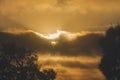 The sun behind the clouds between a branch of a cork tree and a pine tree Royalty Free Stock Photo