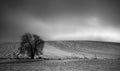 The sun behind the clouds on a field in winter Royalty Free Stock Photo