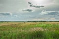 The sun behind gray clouds in the sky, horizon and wild meadow Royalty Free Stock Photo