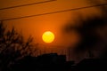 Sun behind Neem Tree. Azadirachta indica, commonly known as neem Royalty Free Stock Photo