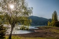 Sun behind a tree in Kawakuchigo lake. Royalty Free Stock Photo