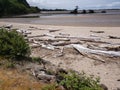 Ocean Driftwood at an Oregon Oceanside with a beach Royalty Free Stock Photo