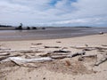 Ocean Driftwood at an Oregon Oceanside with a beach Royalty Free Stock Photo