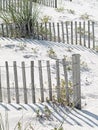 Sun Bleached Sand Fences