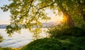 Sun is breaking through the leaves