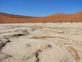 Sun burnt land with dead trees in Deadvlei Royalty Free Stock Photo