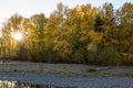 Sun bursts through the autumn colored trees along the Naches River. Royalty Free Stock Photo