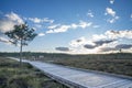 Sun casting low light during calm Sunset in summer over Wooden footpath Royalty Free Stock Photo