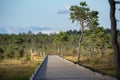 Sun casting low light during calm Sunset in summer over Wooden footpath Royalty Free Stock Photo