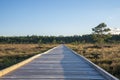 Sun casting low light during calm Sunset in summer over Wooden footpath Royalty Free Stock Photo