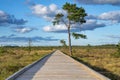 Sun casting low light during calm Sunset in summer over Wooden footpath Royalty Free Stock Photo