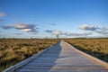 Sun casting low light during calm Sunset in summer over Wooden footpath Royalty Free Stock Photo