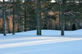 Sun casting three lines of light on the untouched snow