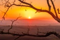 The sun caught during the last moment before setting beyond the horizon with view of a field covered with fog and the farms and