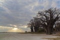 Sun through clouds at Baines Baobabs