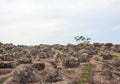 Sun Crack rocks at Phu Hin Rongkla national park, Phitsanulok, T Royalty Free Stock Photo