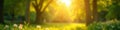 Sun dappled bokeh, blurred garden trees, summer glow, garden scene, natural light Royalty Free Stock Photo