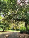 A sun-dappled path through St. Stephen's Green Royalty Free Stock Photo