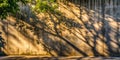 Sun-dappled shadows on a concrete wall a study in light and texture. Generative AI Royalty Free Stock Photo