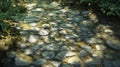 Sun-Dappled Streambed with Cobblestone Path Royalty Free Stock Photo