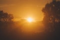 The sun disappearing behind the clouds between a branch of a cork tree and a pine tree Royalty Free Stock Photo