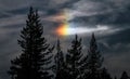 Sun Dog Phenomenon