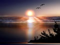 Night tree and birds silhouette big moon on starry sky at pink sunset sea summer sea beach blurre light nature landsc