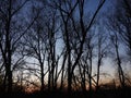 Sunset, zonsondergang Dendermonde Royalty Free Stock Photo