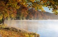 Sun Drenched Autumn Foliage around Lake