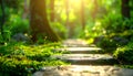 Sunlit Forest Path Lined with Mossy Stone Steps and Lush Greenery image photo Royalty Free Stock Photo