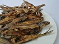 Sun dried fish and salty. small fish fried on white dish. top view and background. Royalty Free Stock Photo