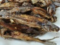 Sun dried fish and salty. small fish fried on white dish. top view and background. Royalty Free Stock Photo