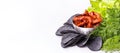 Sun-dried tomatoes and black chips. Chips and Tomatoes copy space Royalty Free Stock Photo