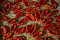 sun dried tomatoes in the cooking process with olive oil, spices basil, oregano, sea salt. delicacy, appetizer from Italy. Royalty Free Stock Photo