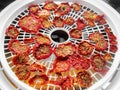 Sun dried tomatoes food dehydrator Royalty Free Stock Photo