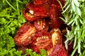 Sun-dried tomatoes with fresh herbs Royalty Free Stock Photo