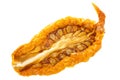 Sun-dried yellow tomato half, paths Royalty Free Stock Photo