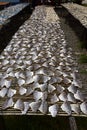 Sun-drying freshly caught fish