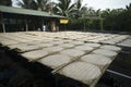 Sun-drying rice paper the West, Mekong Delta, Vietnam