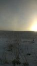 Wintery field in JÃÂ¤msÃÂ¤ Royalty Free Stock Photo