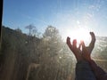 Sun in female hands through scratched glass Royalty Free Stock Photo